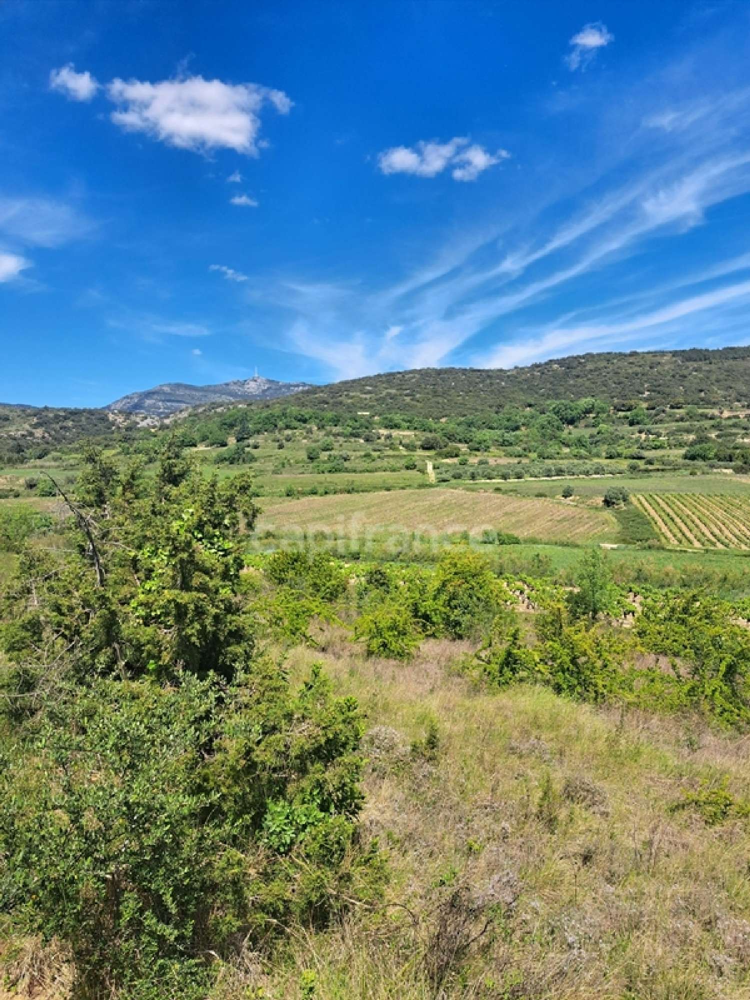 en venta terreno Montpeyroux Hérault 6