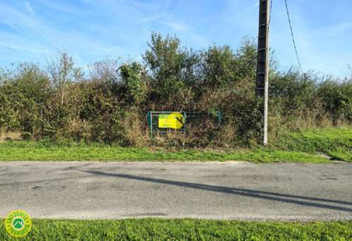 Mornay-sur-Allier Cher terrein foto
