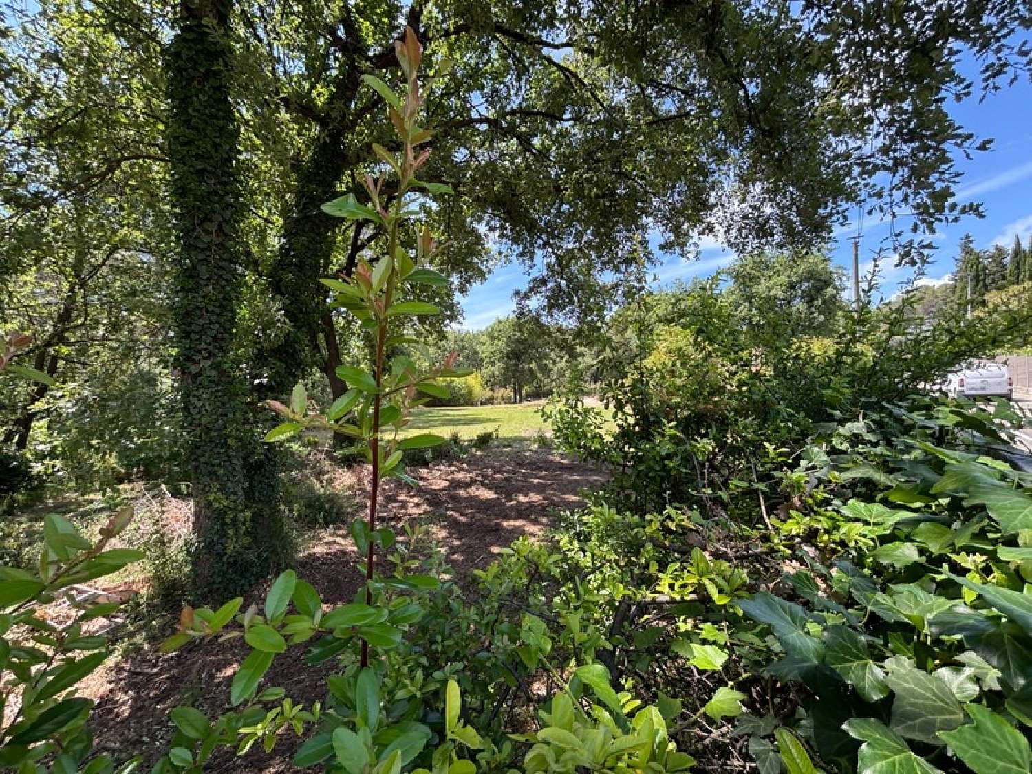  for sale terrain Mougins Alpes-Maritimes 2