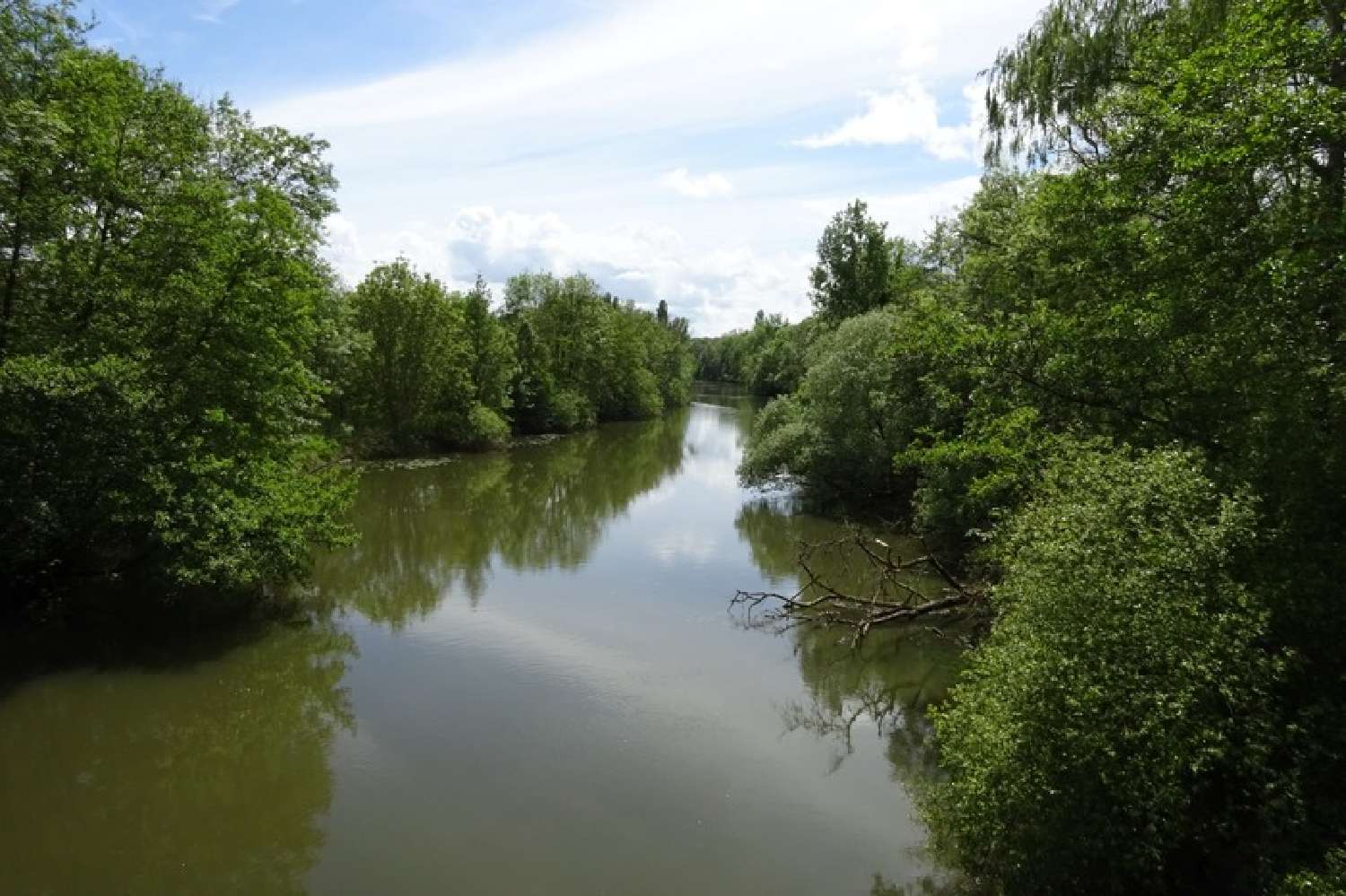kaufen Grundstück Nargis Loiret 1