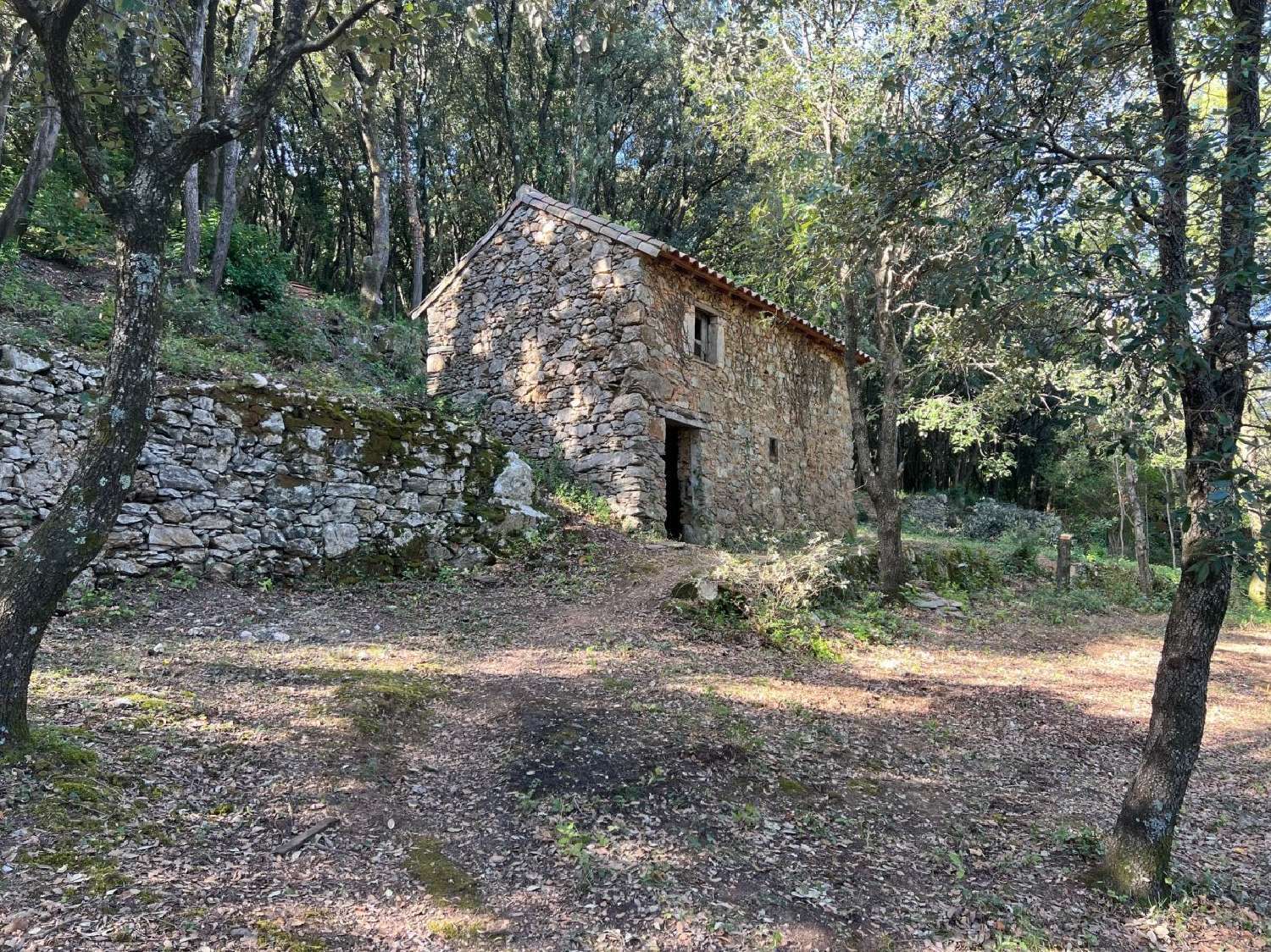 for sale terrain Olargues Hérault 1