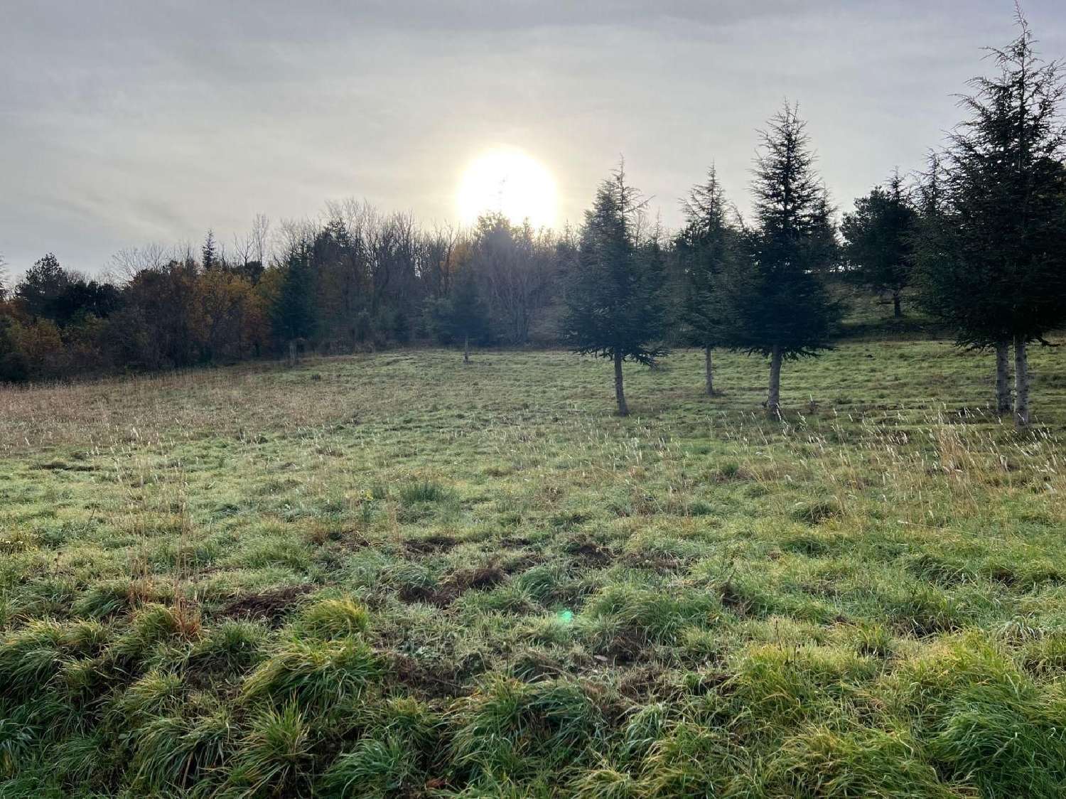  te koop terrein Olargues Hérault 1