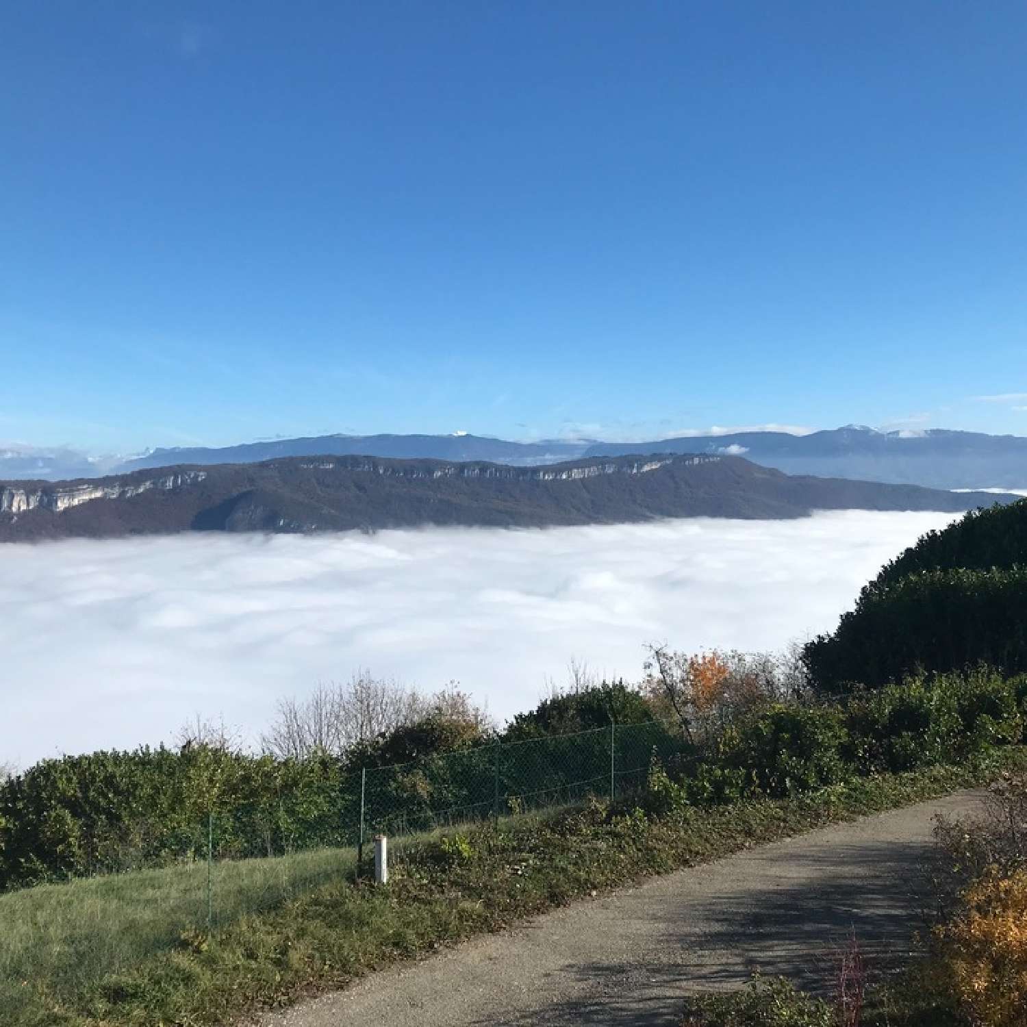 for sale terrain Ontex Savoie 5