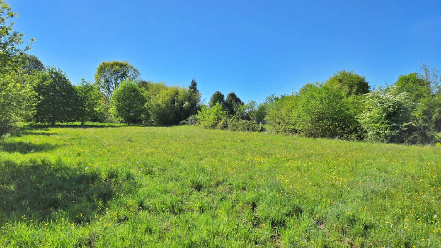  te koop terrein Oradour-sur-Glane Haute-Vienne 4