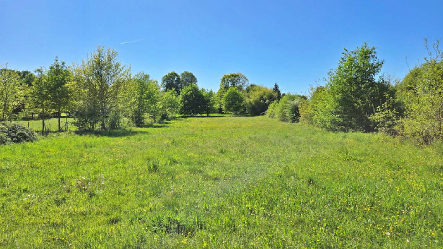  te koop terrein Oradour-sur-Glane Haute-Vienne 5
