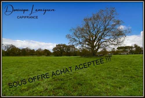 Peyrehorade Landes terrain foto 7346973