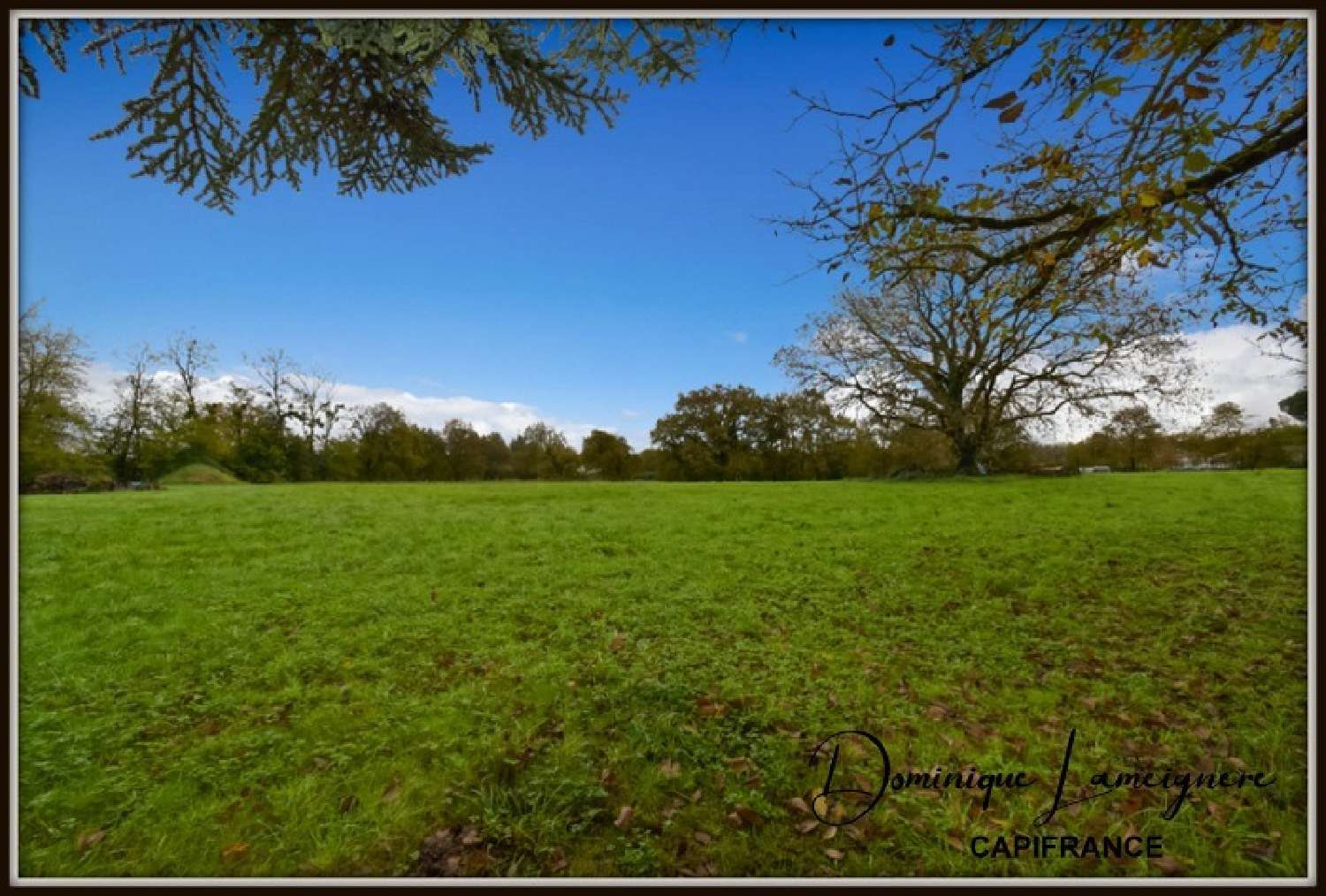  for sale terrain Peyrehorade Landes 4