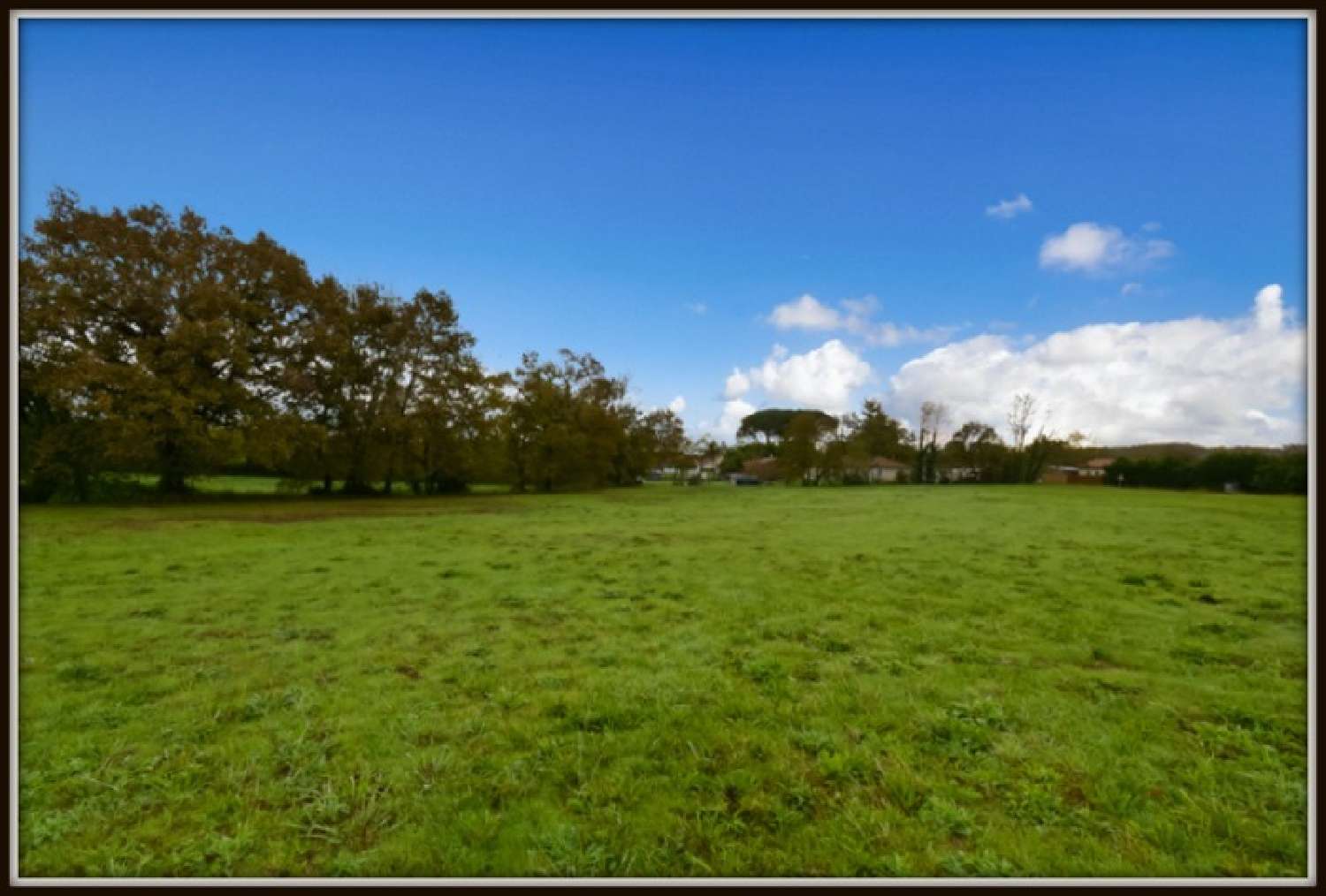  for sale terrain Peyrehorade Landes 5