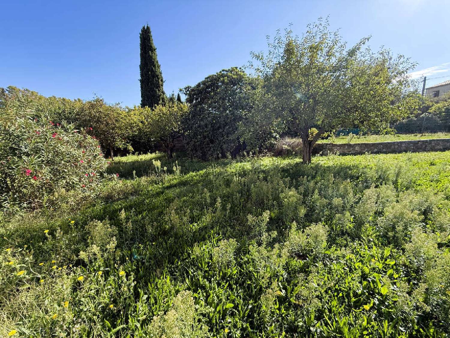 te koop terrein Peyrolles-en-Provence Bouches-du-Rhône 2