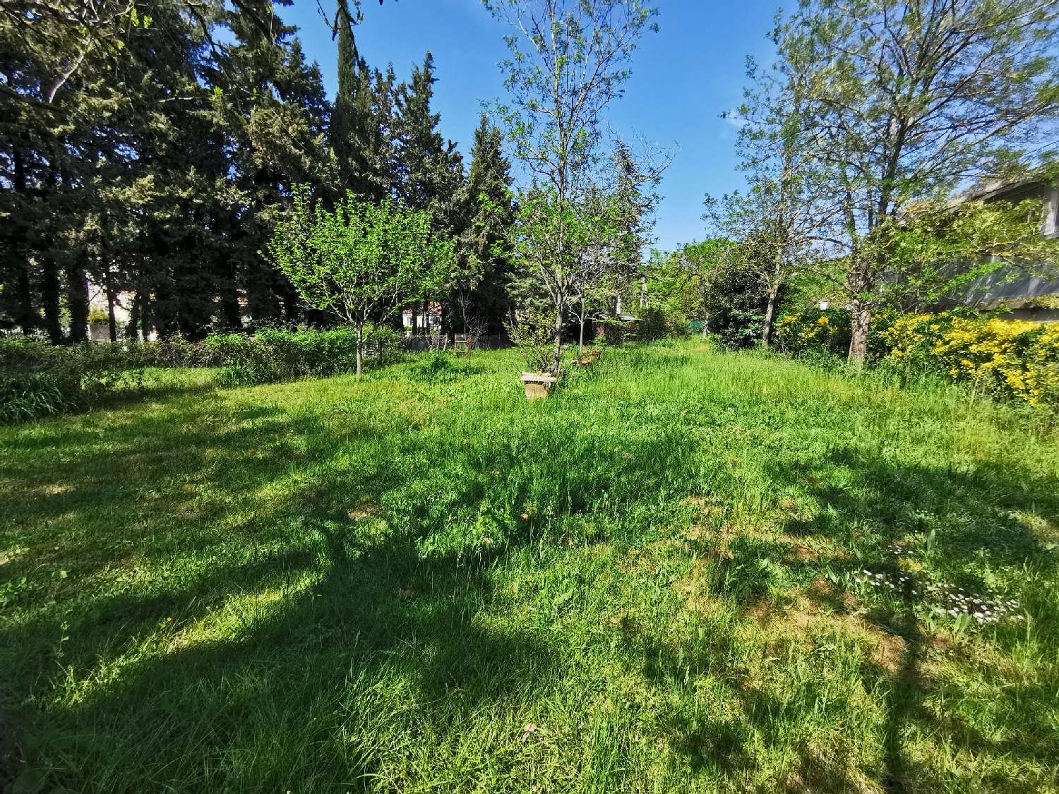  en venta terreno Prades-le-Lez Hérault 1