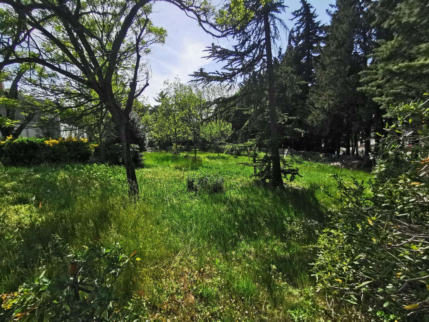  for sale terrain Prades-le-Lez Hérault 4