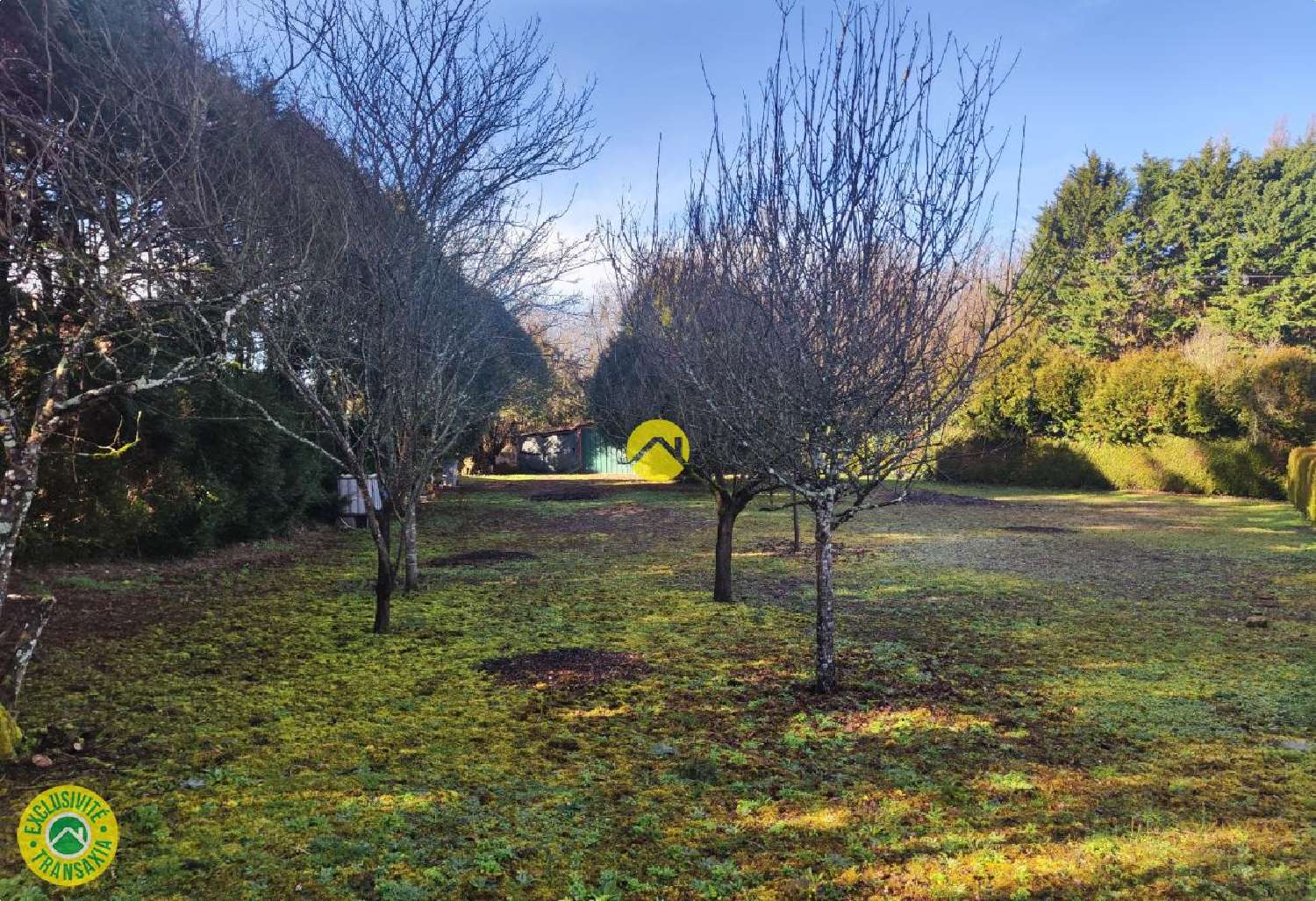  te koop terrein Précy Cher 5