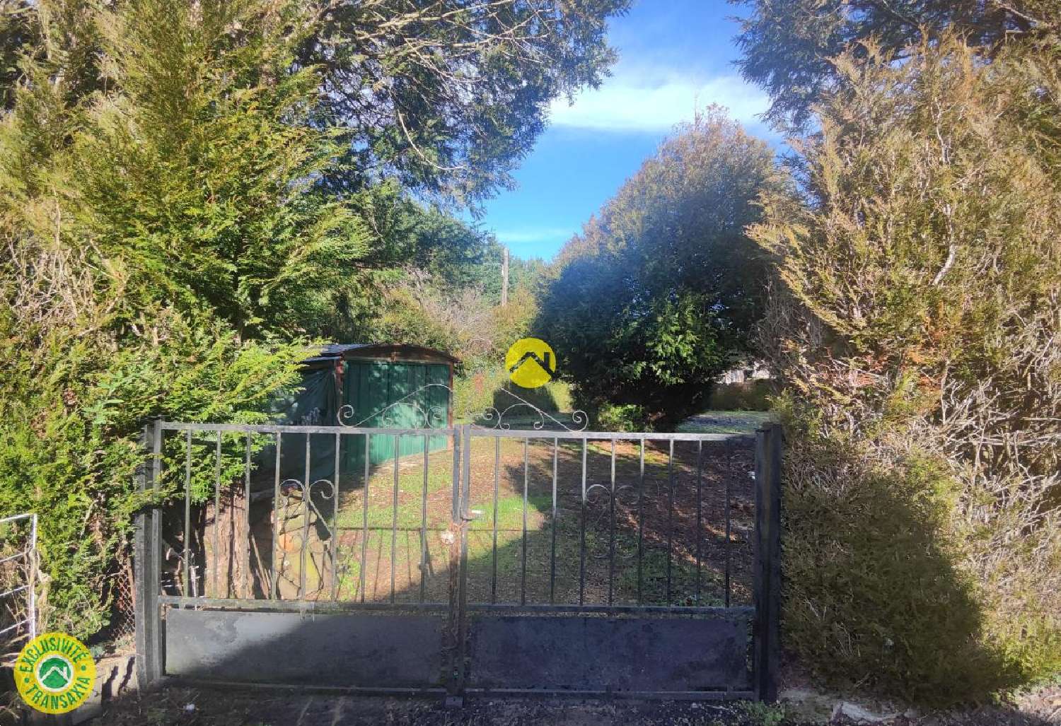  te koop terrein Précy Cher 6