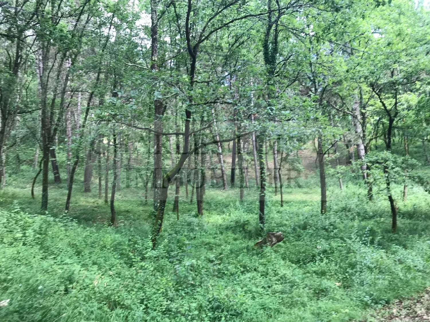 te koop terrein Puy-l'Évêque Lot 2