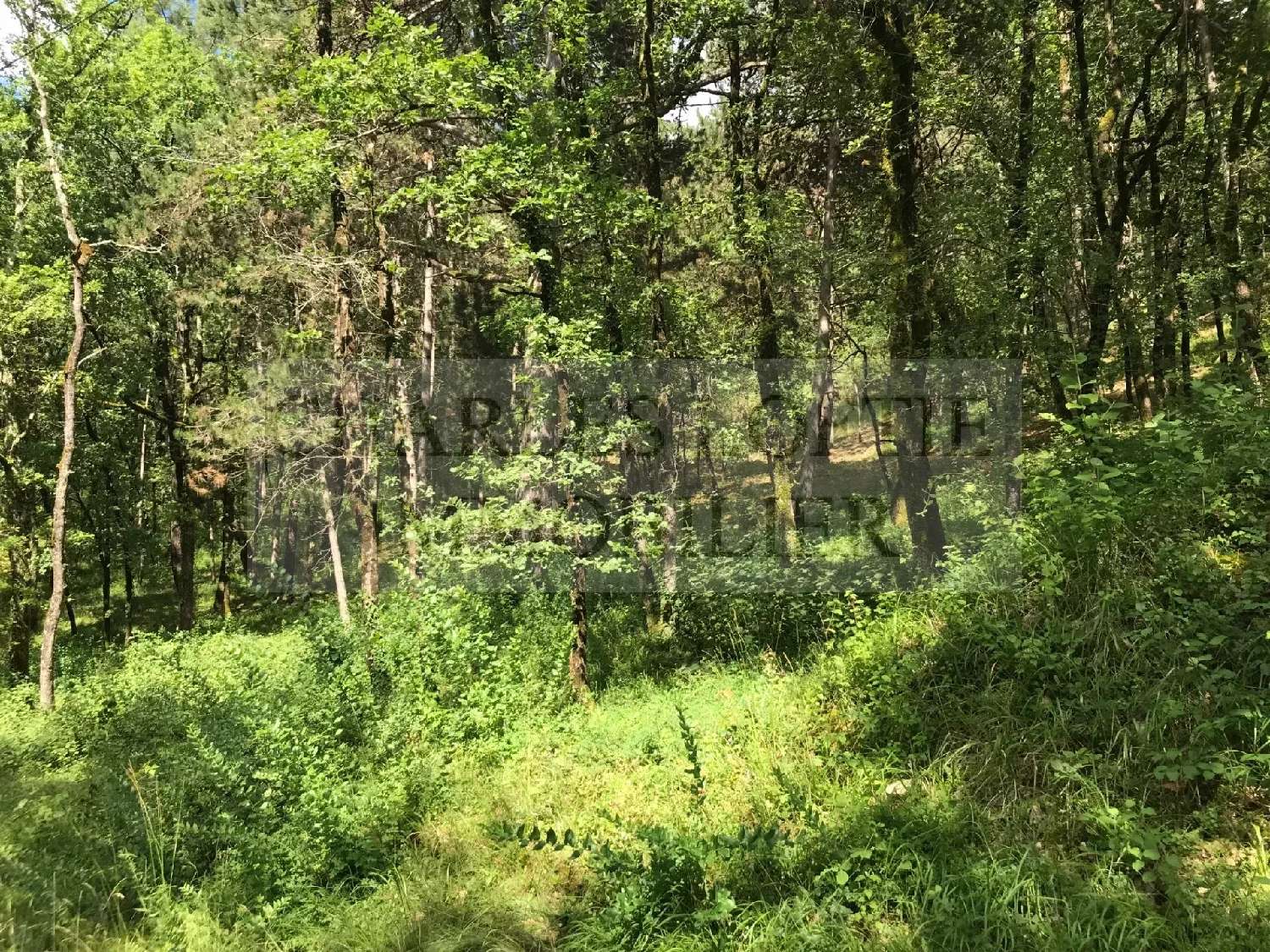 te koop terrein Puy-l'Évêque Lot 4