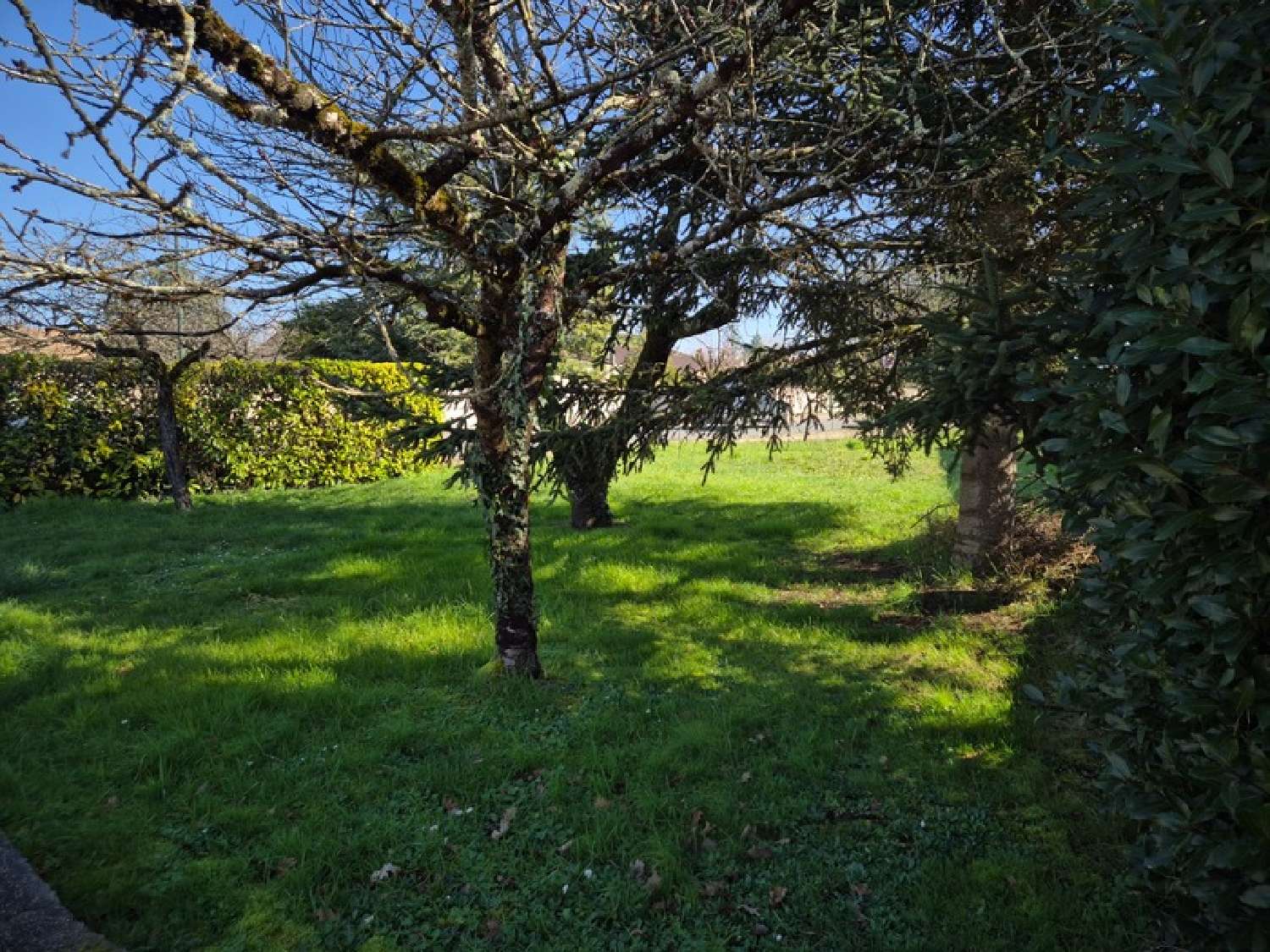 te koop terrein Puymoyen Charente 6