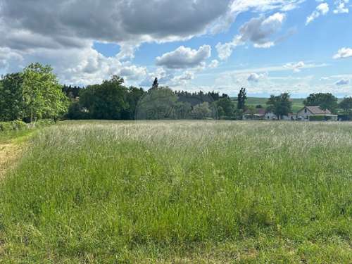 Quenne Yonne terrain foto 7331697