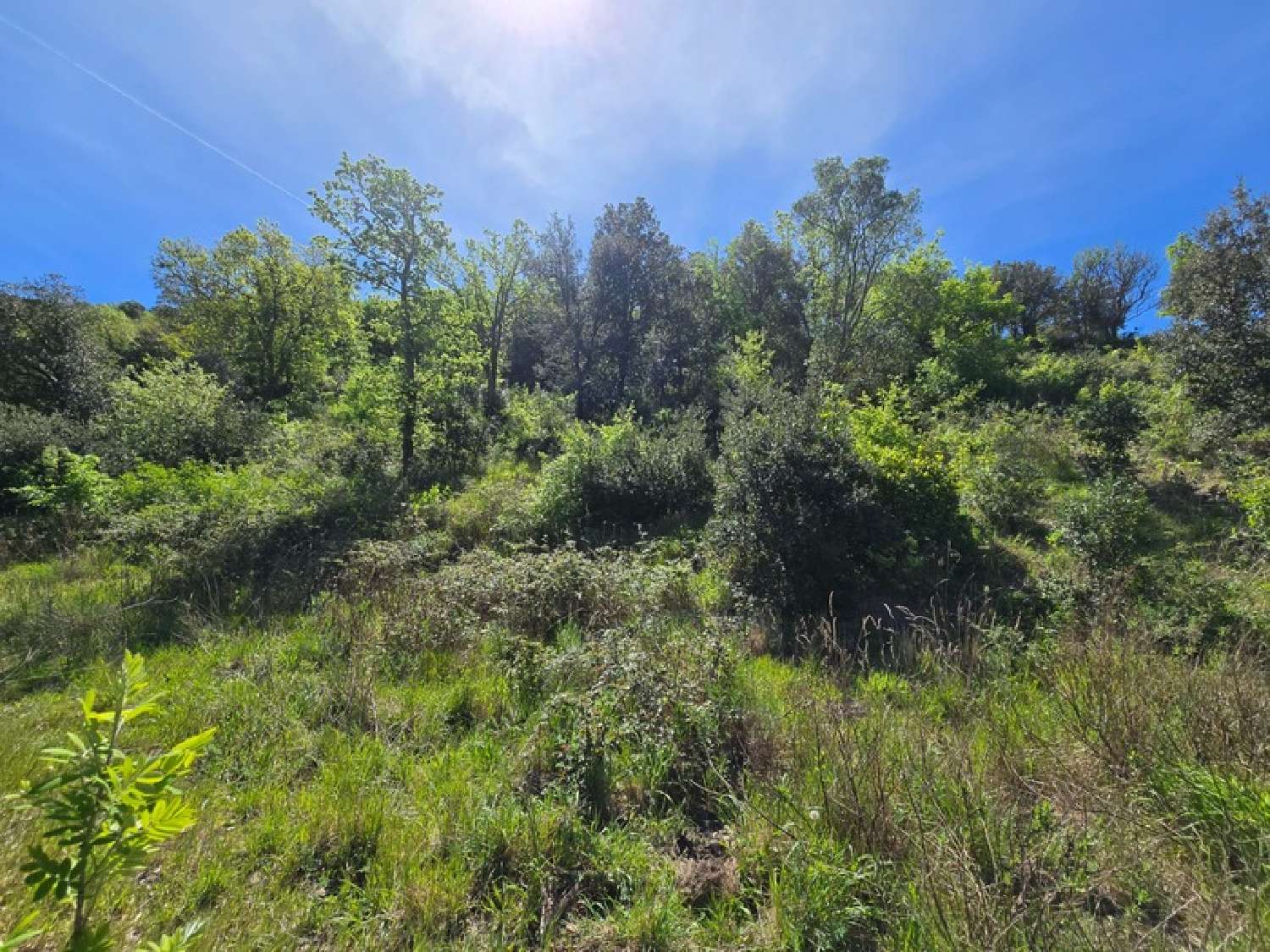  for sale terrain Quintillan Aude 2