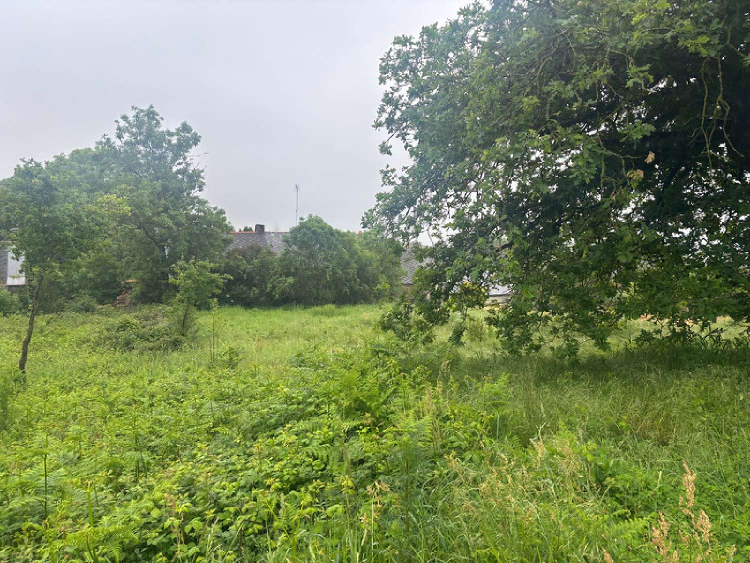  à vendre terrain Renac Ille-et-Vilaine 1