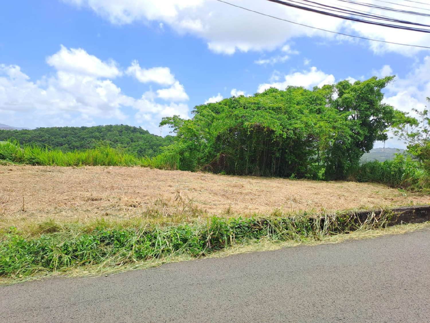  en venta terreno Rivière-Salée Martinique 2