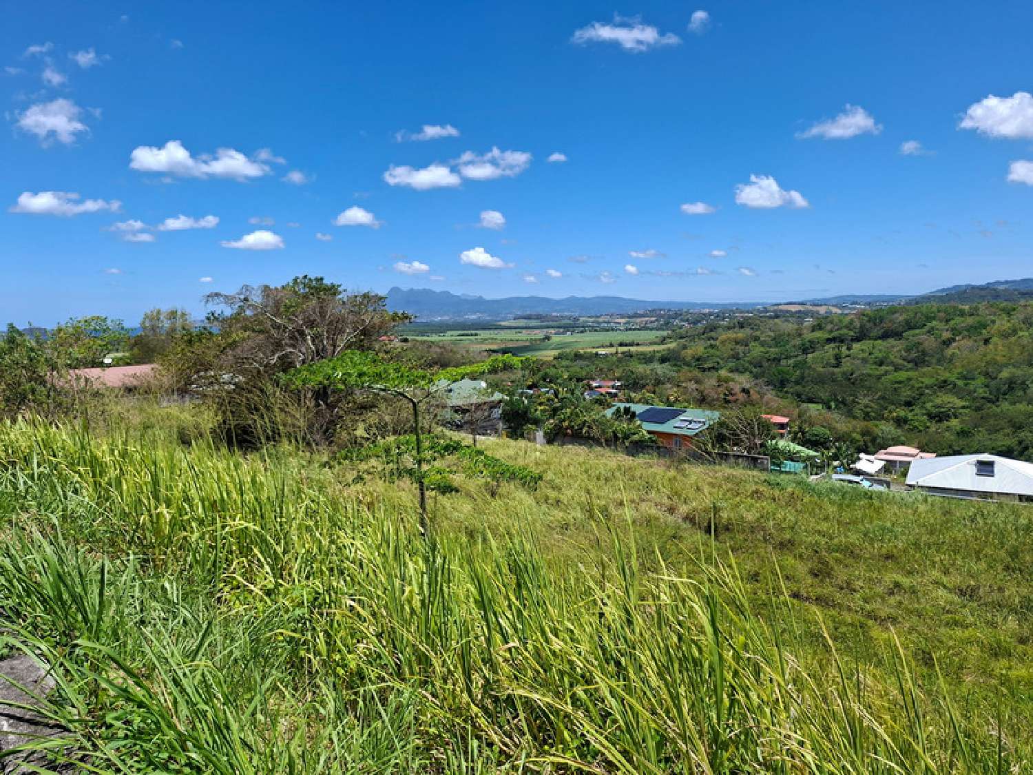  en venta terreno Rivière-Salée Martinique 3