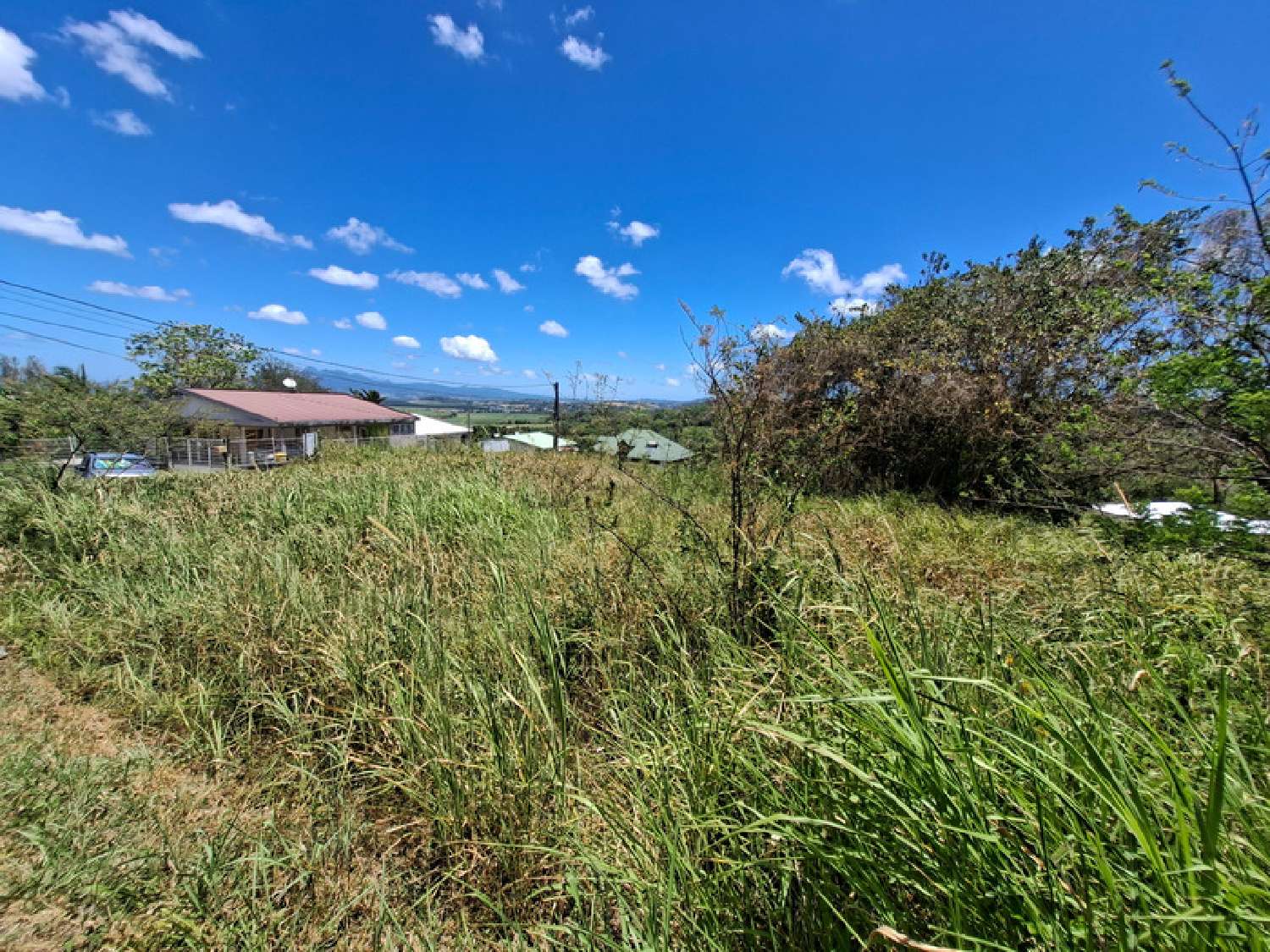  en venta terreno Rivière-Salée Martinique 3