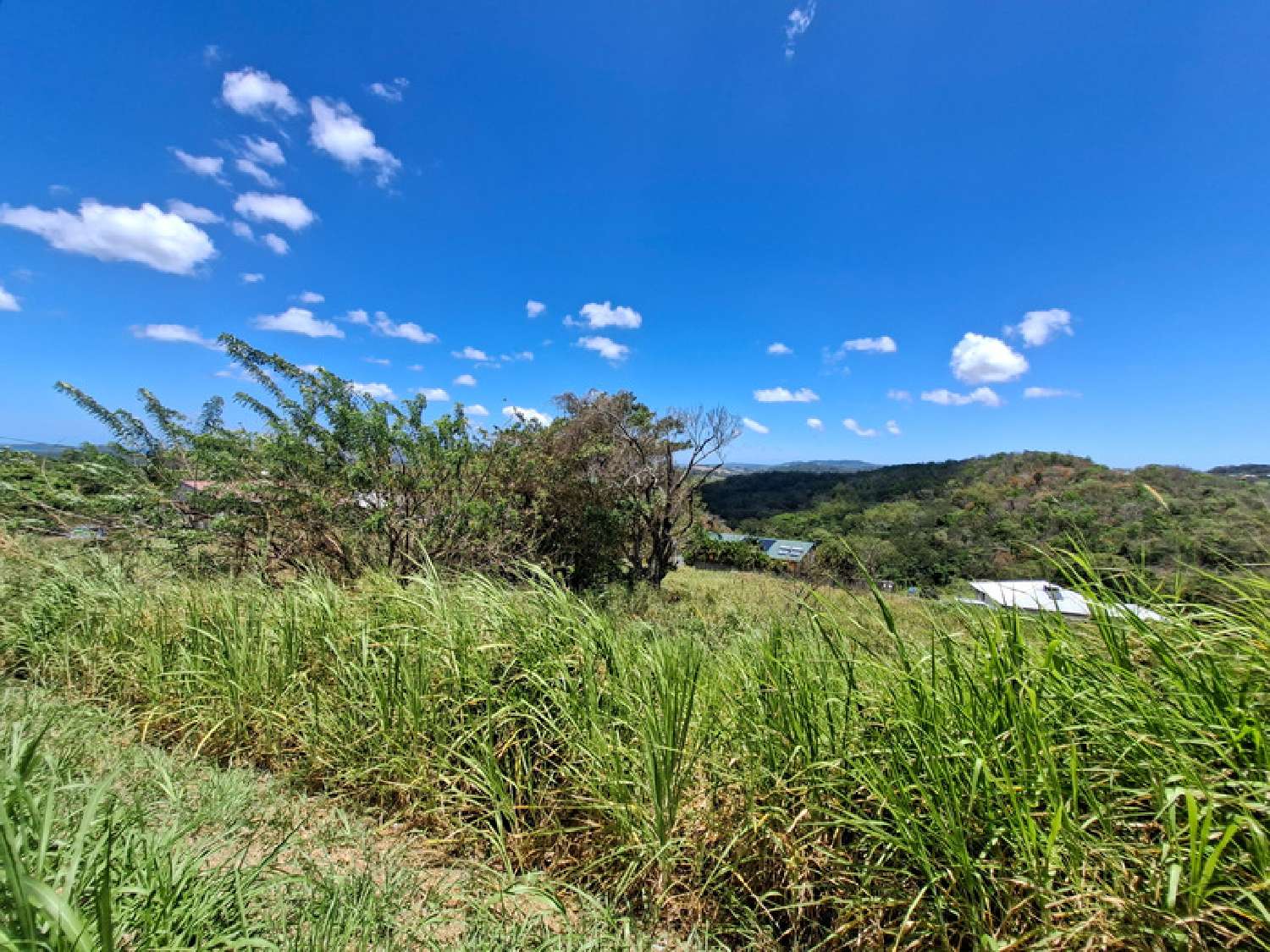  en venta terreno Rivière-Salée Martinique 4