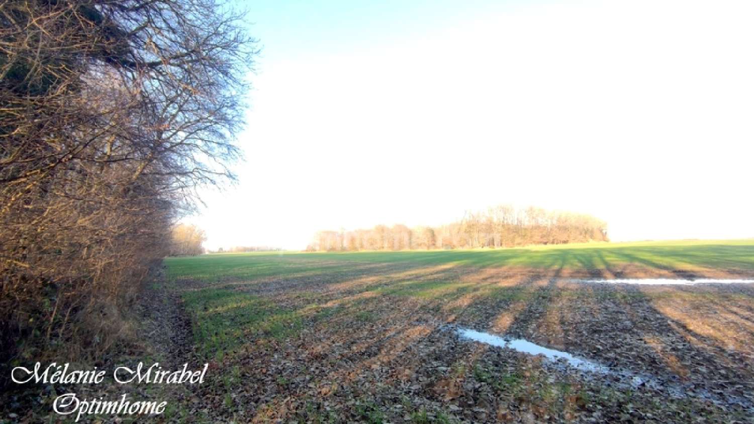  te koop terrein Rôman Eure 4