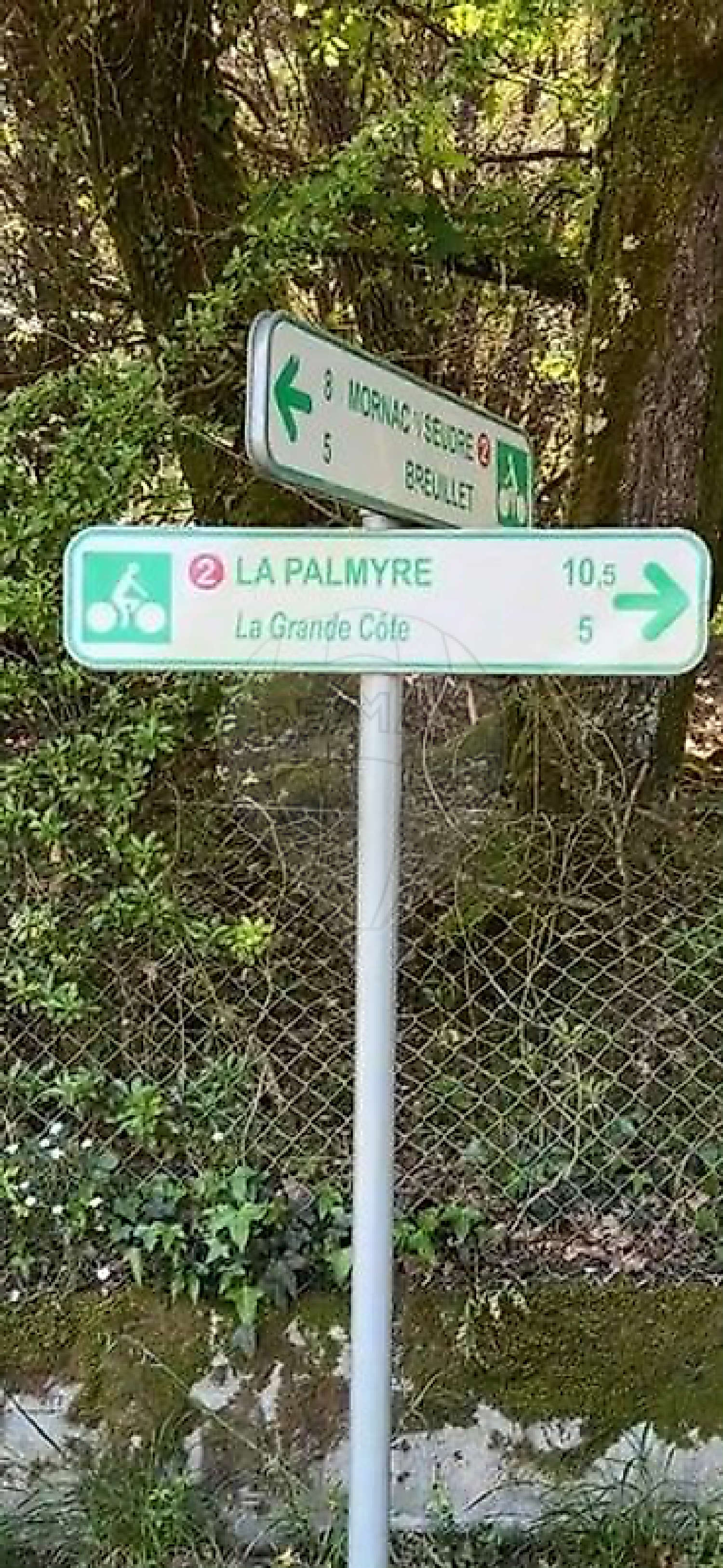  kaufen Grundstück Saint-Augustin Charente-Maritime 2
