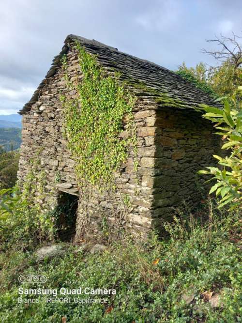 Saint-Étienne-Vallée-Française Lozère terreno foto 7348110