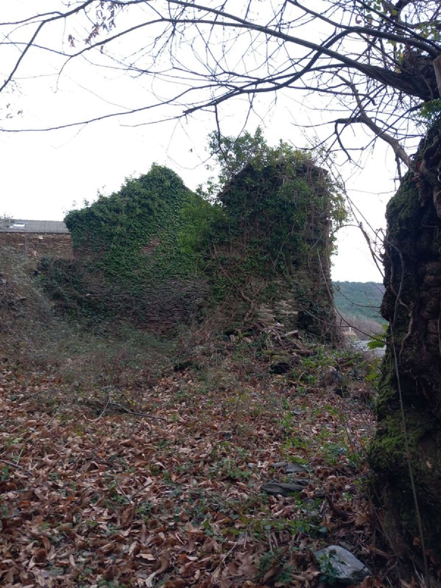 en venta terreno Saint-Étienne-Vallée-Française Lozère 2