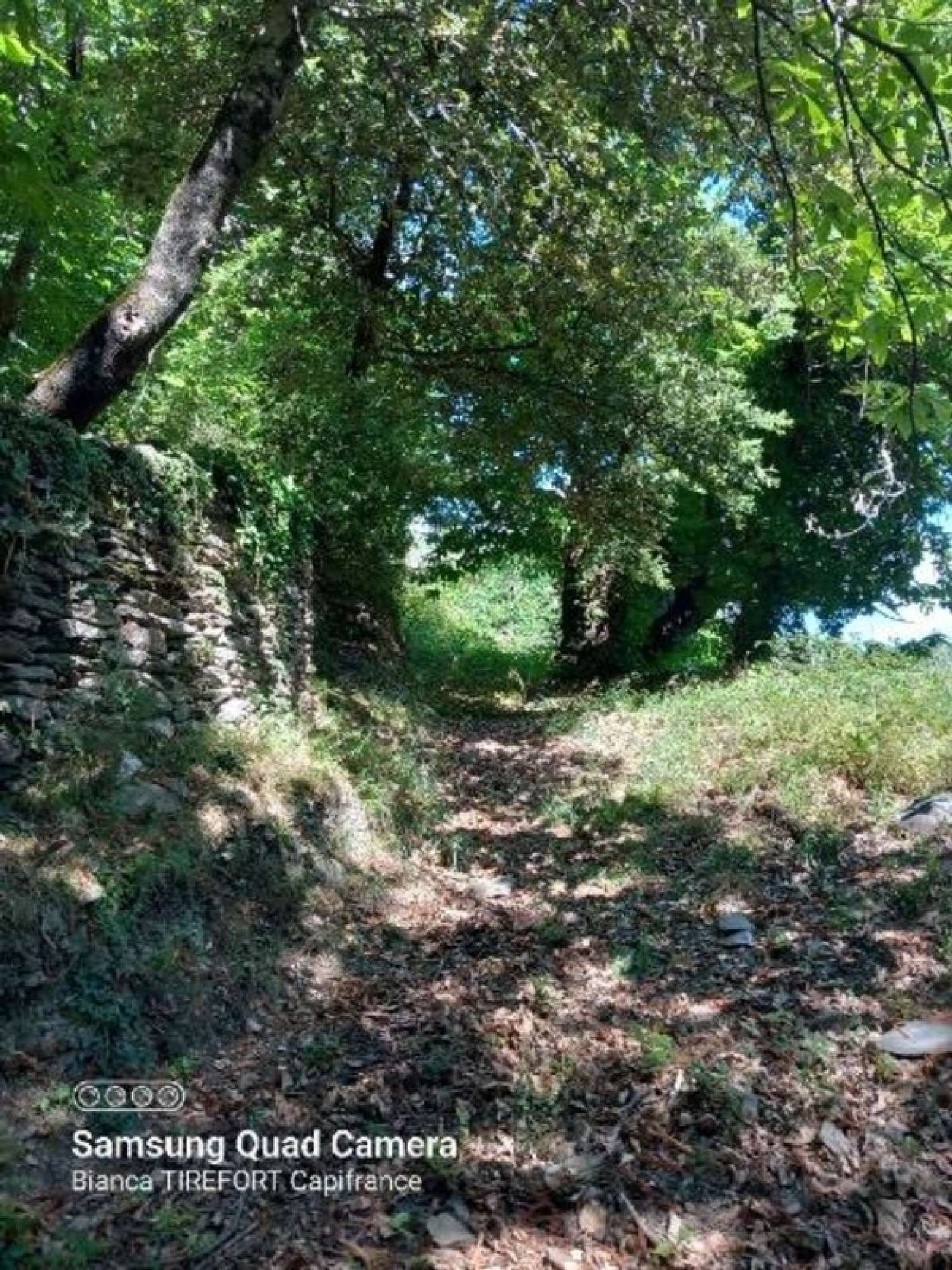 en venta terreno Saint-Étienne-Vallée-Française Lozère 3