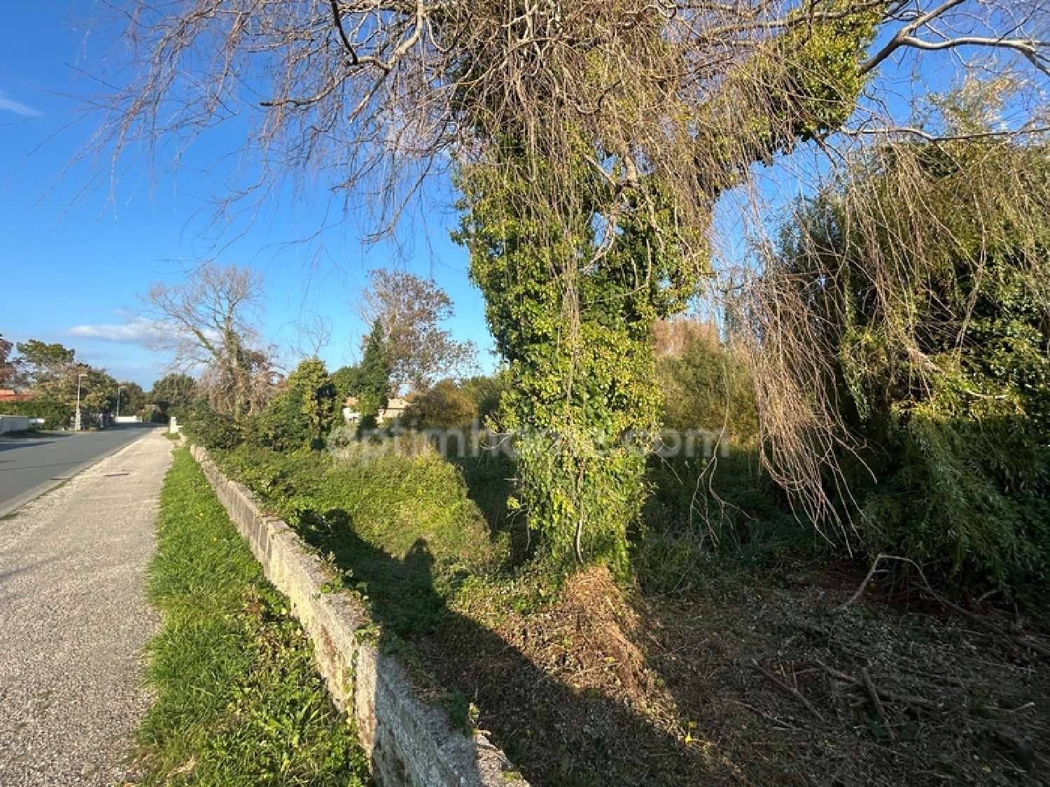  kaufen Grundstück Saint-Georges-d'Oléron Charente-Maritime 4