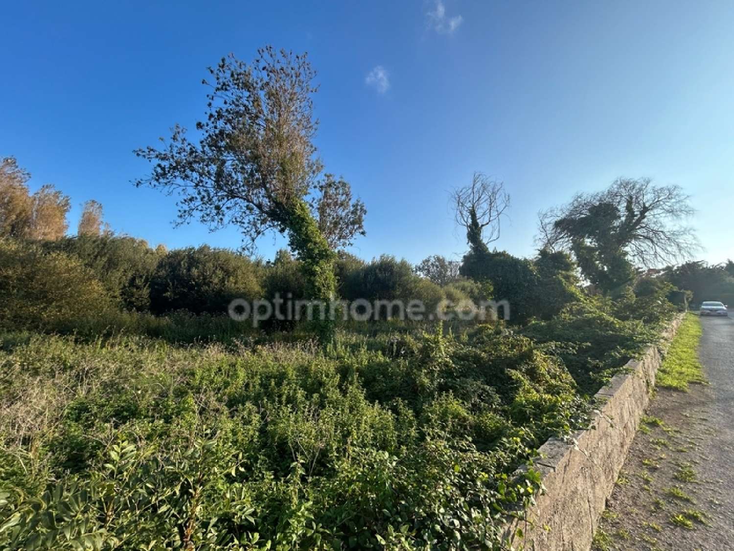  kaufen Grundstück Saint-Georges-d'Oléron Charente-Maritime 8