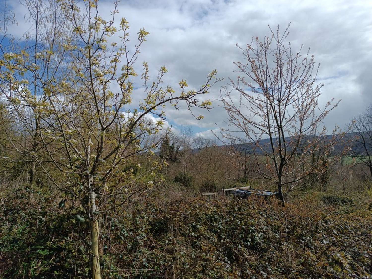  en venta terreno Saint-Goazec Finistère 2