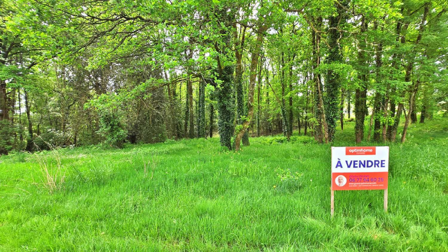  kaufen Grundstück Saint-Junien Haute-Vienne 7