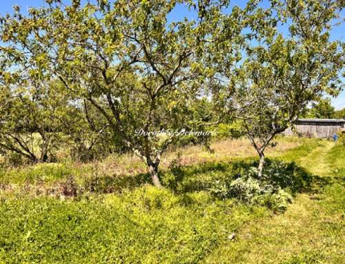 Saint-Mard Charente-Maritime terrain foto 7333742