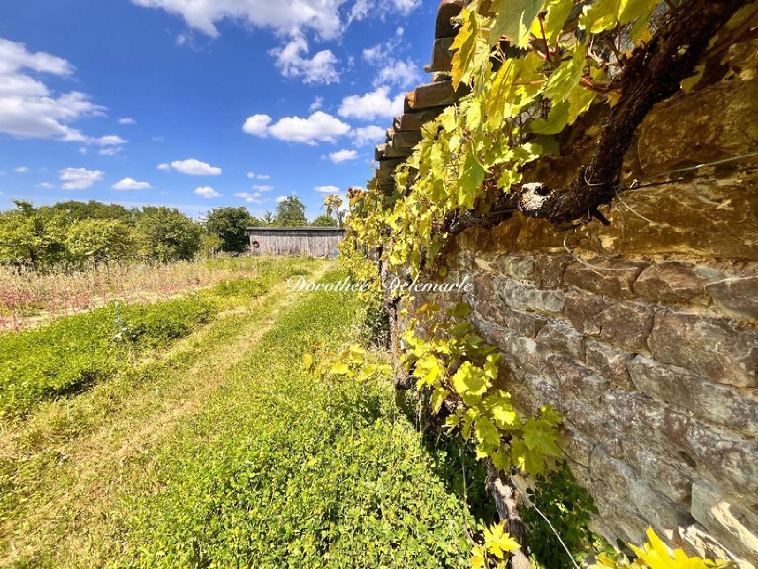  à vendre terrain Saint-Mard Charente-Maritime 5