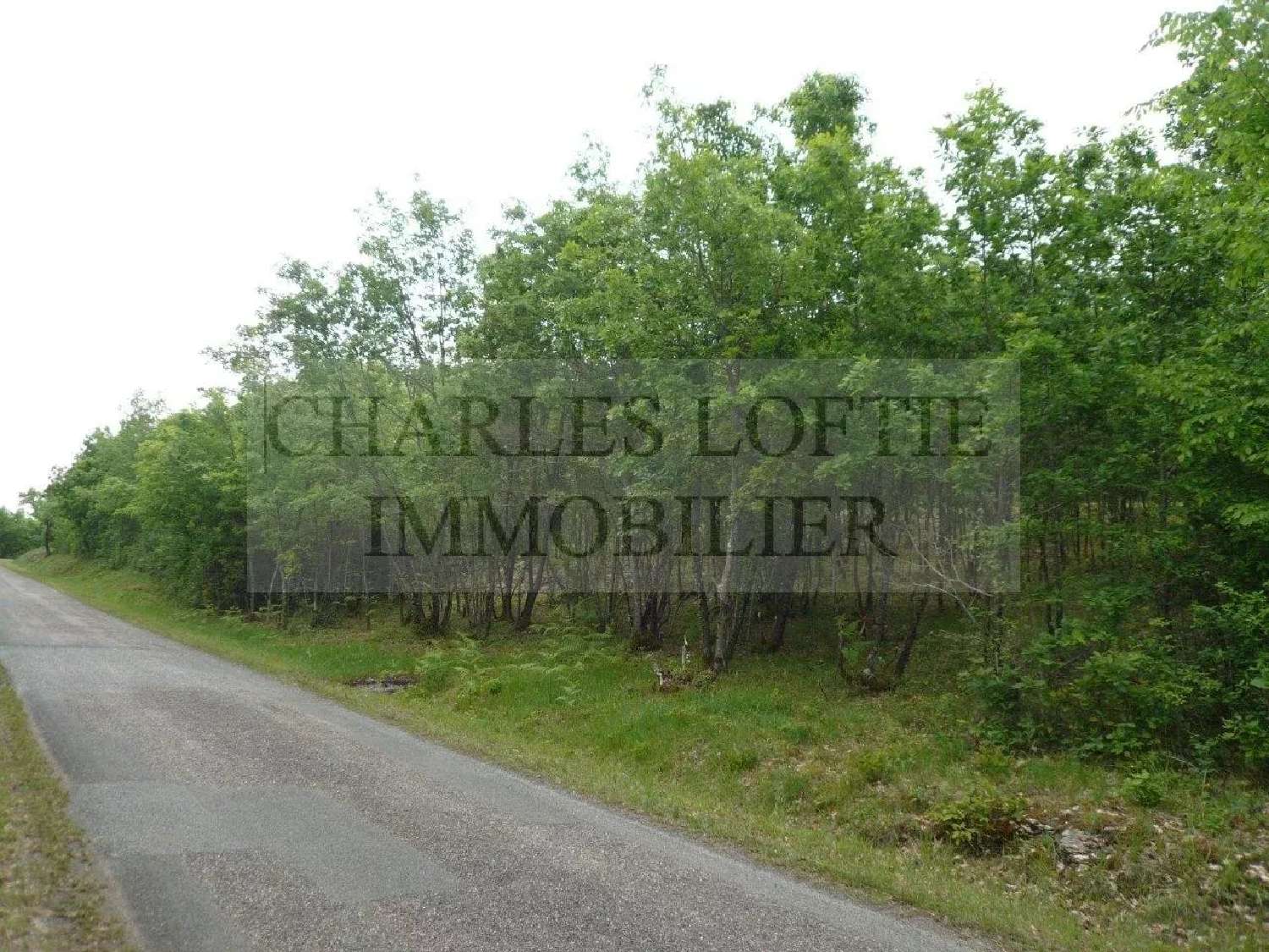  for sale terrain Saint-Martin-le-Redon Lot 2