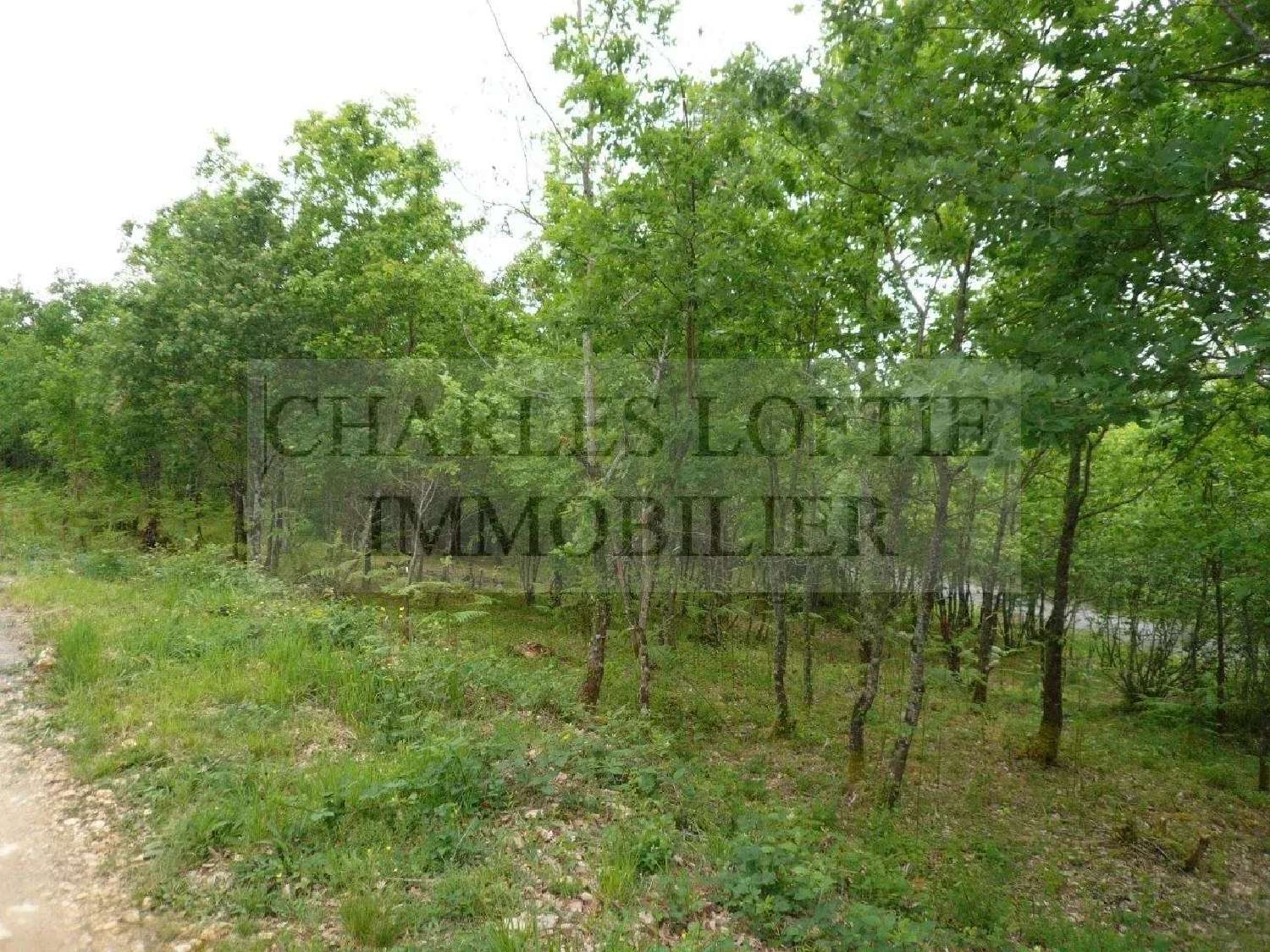  for sale terrain Saint-Martin-le-Redon Lot 3