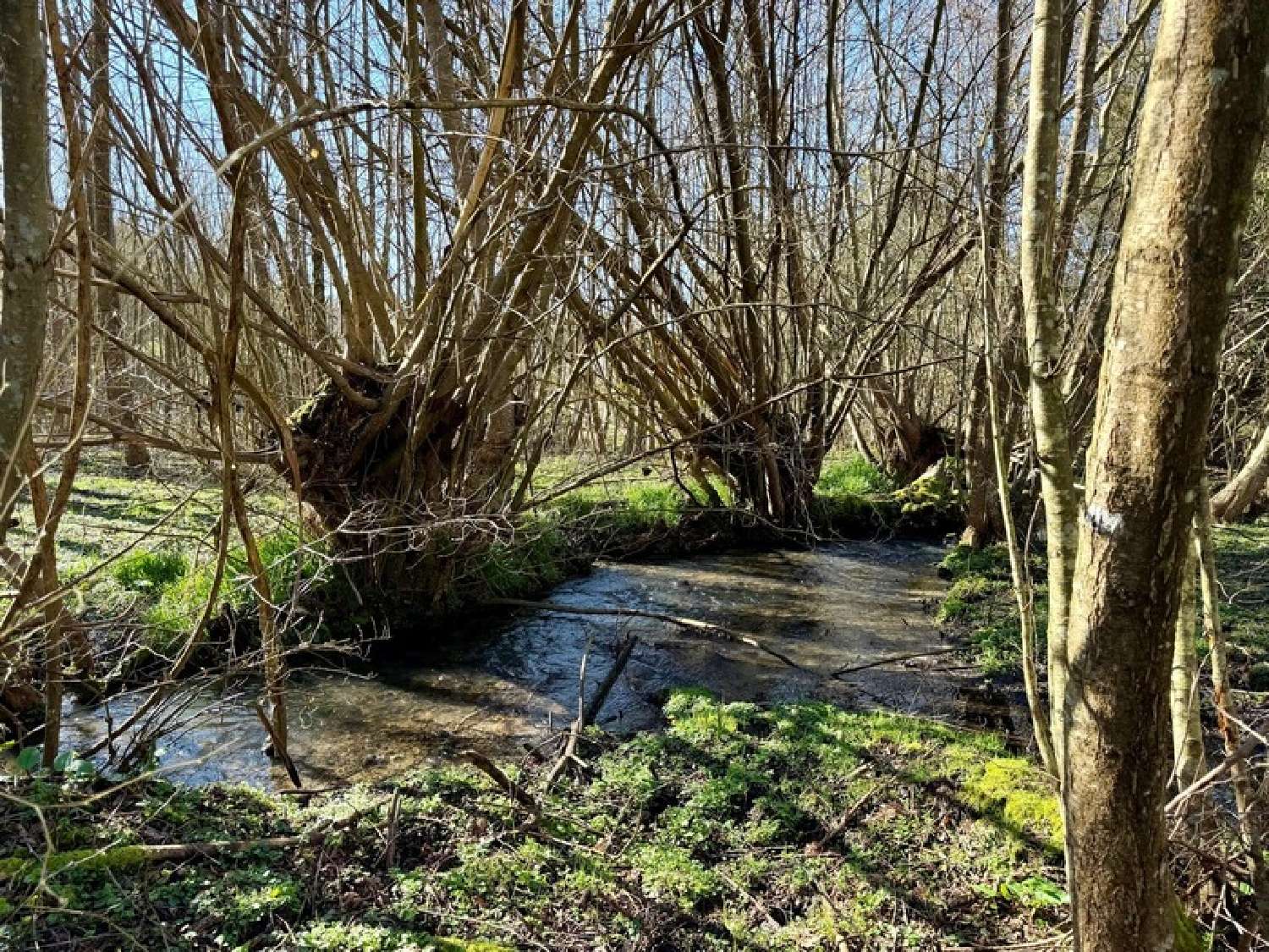  te koop terrein Saint-Paul-de-Courtonne Calvados 3