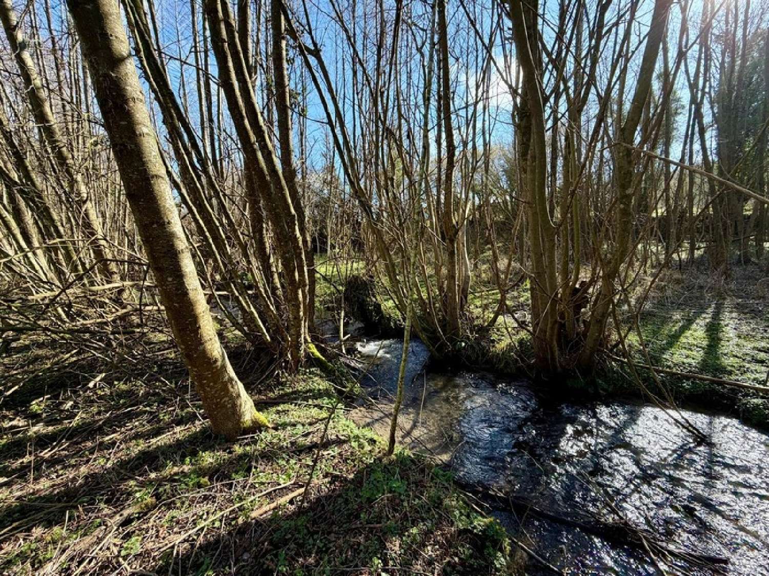  te koop terrein Saint-Paul-de-Courtonne Calvados 5
