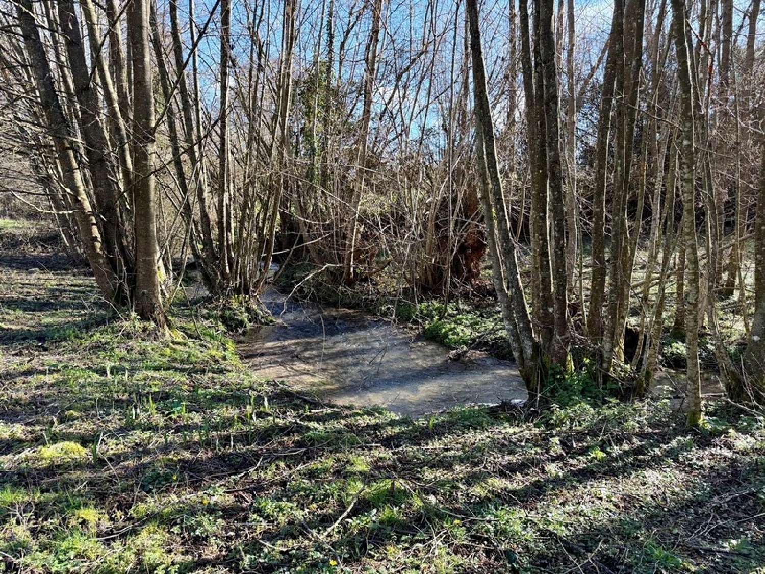  te koop terrein Saint-Paul-de-Courtonne Calvados 8