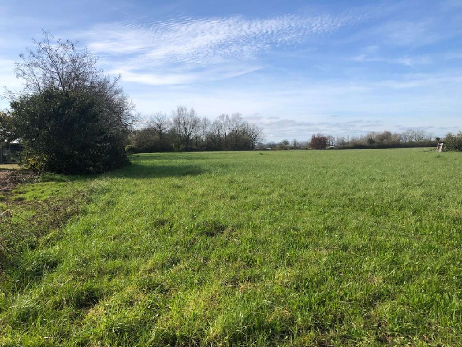 for sale terrain Saint-Philbert-de-Grand-Lieu Loire-Atlantique 1