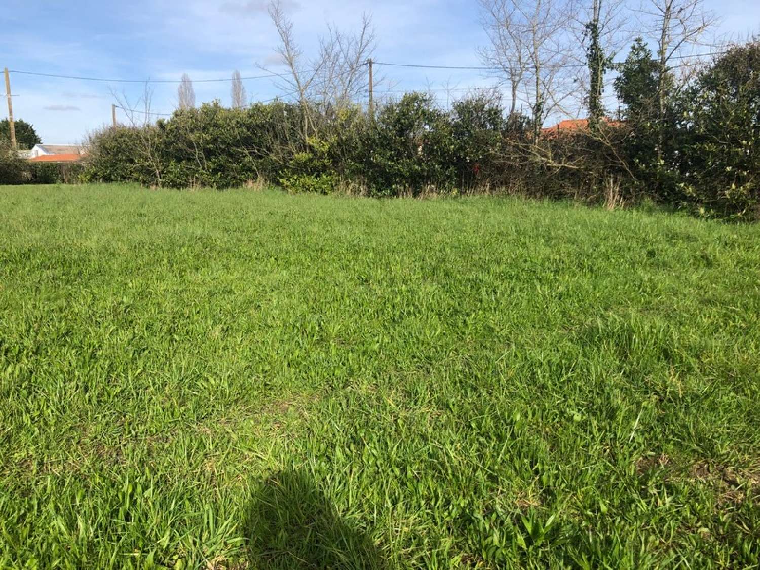 for sale terrain Saint-Philbert-de-Grand-Lieu Loire-Atlantique 2