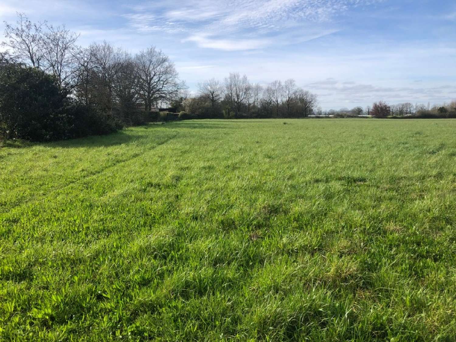 for sale terrain Saint-Philbert-de-Grand-Lieu Loire-Atlantique 3