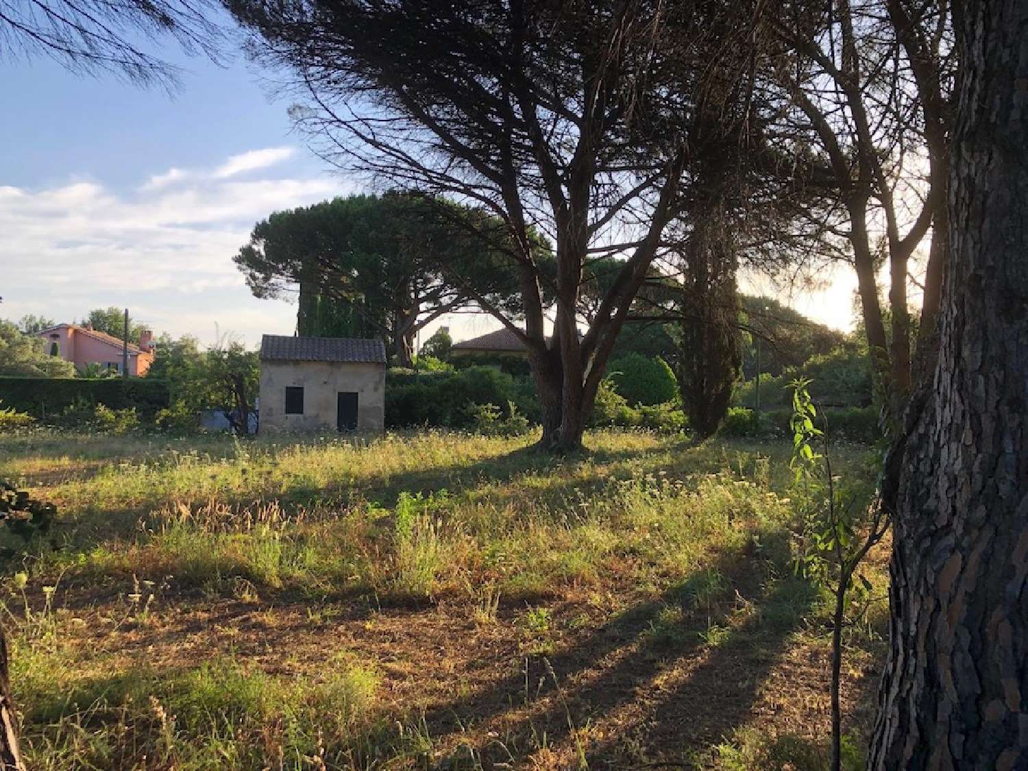  for sale terrain Saint-Tropez Var 2