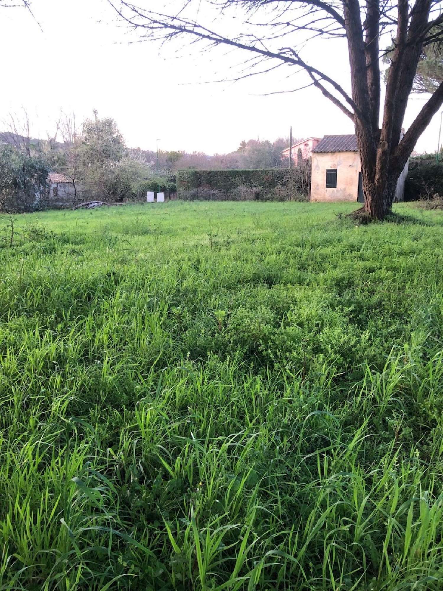  for sale terrain Saint-Tropez Var 4
