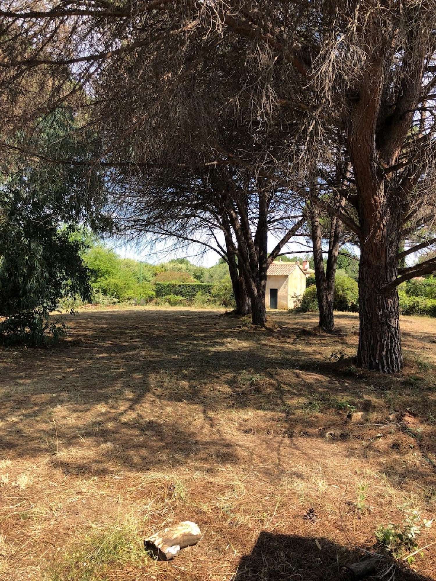  for sale terrain Saint-Tropez Var 5