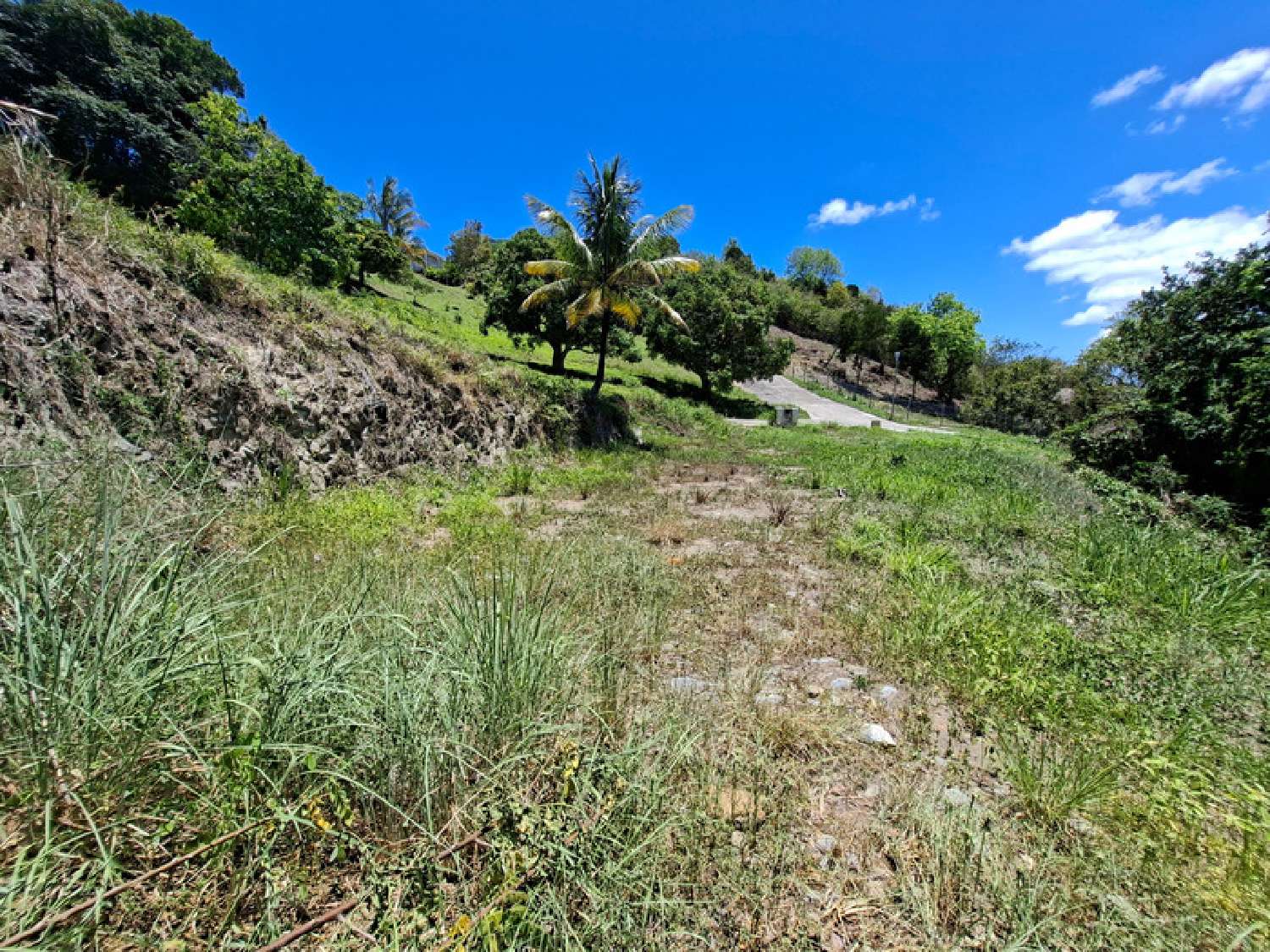 à vendre terrain Sainte-Luce Martinique 1